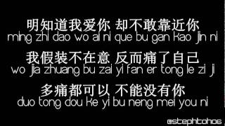 ★ PINYIN LYRICS  龚芝怡 Gong Zhi Yi  明知我爱你 Ming Zhi Wo Ai Ni ★ [upl. by Nikal]