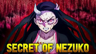 How NEZUKO Survived SUNLIGHT  Swordsmith Village Arc Ending Explained  Loginion [upl. by Ganny560]