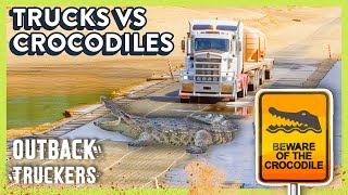 Fearless Truckers Drive Directly Into Crocodile Infested Waters [upl. by Landre]