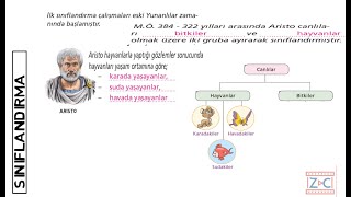 Canlıların Sınıflandırılması Konu Anlatımı [upl. by Carlita]