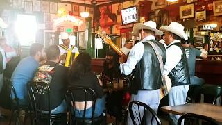 Norteño music at Hussongs Cantina in Ensenada Mexico [upl. by Burnaby191]