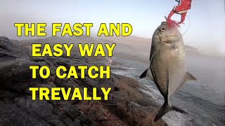 How to catch trevally [upl. by Richmal]