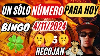 NÚMERO PARA HOY 04 DÉ NOVIEMBRE 2024 RECOJAN HOY [upl. by Rodoeht]