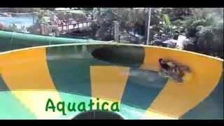 Aquatica waterpark all slides POV [upl. by Eloccin]