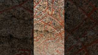 Swedish Runestone From The Viking Age 119 [upl. by Richard]