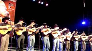 PAGODE EM BRASILIA  Orquestra de Viola Caipira de Pedra Bela [upl. by Eiggam58]