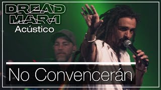 Dread Mar I  No convencerán Acústico [upl. by Ahsinej]