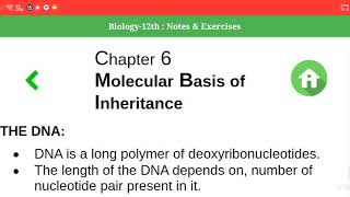 Class 12th bio chapter 6 molecular basis of inheritance full notes for board exam [upl. by Sorce]