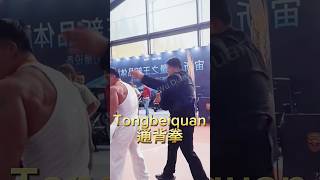 Tongbeiquan通背拳 Do not imitate promoves shaolin wingchun kungfu wushu 功夫 太极 武术 少林 [upl. by Hassi475]