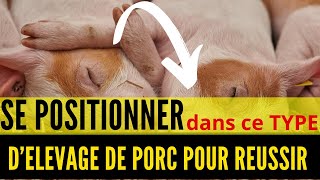 3 TYPES d ELEVAGE DE PORC à connaitre pour REUSSIR  investir au pays en elevage des porcs [upl. by Enawtna]