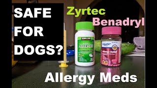 1 Allergy Meds for Dogs [upl. by Mieka]