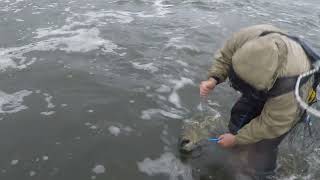 Day 2 Oswego River fishing [upl. by Wain815]