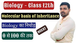 Molecular basis of inheritance L 16 [upl. by Tore126]