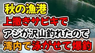 秋の漁港、上撒きサビキ釣りでアジが沢山釣れたので青物を狙って湾内で泳がせて爆釣（湾内泳がせ釣り） [upl. by Anel]