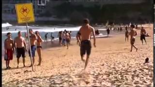 Bondi Rescue Fan Vid Trailer [upl. by Moreville478]