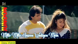 Milte Milte Haseen Wadiyon Mein  Junoon Movie Song  90s  Real Voice [upl. by Sateia]