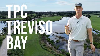 TPC Treviso Bay  Golf Course Review [upl. by Rennane]