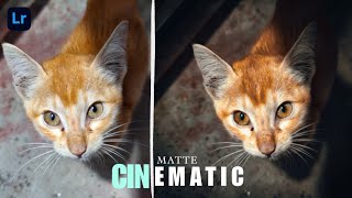 Cinematic Matte Cine Lightroom Mobile Editing Tutorial [upl. by Yeniffit325]