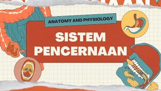 Anatomi dan fisiologi Sistem pencernaan [upl. by Adnilym]