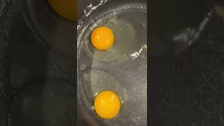 Comparing Different Egg Yolks egg eggs vitalfarms nellies eggyolk yolk peteampgerrys breakfast [upl. by Semyaj514]