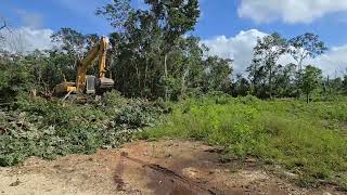 AVANCE DE OBRA  HOTEL SELVA MAYA  NOVIEMBRE 2024 [upl. by Cordelie]