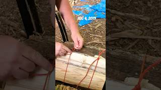 How to tie the plastic twine for FIREWOOD bundles [upl. by Lanuk]