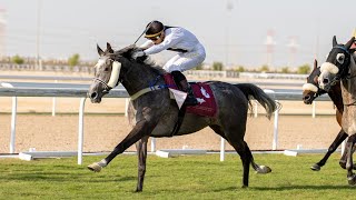 RM6 Al RAYAN RACE2 Guineas amp Barzan Cup Div 2 [upl. by Kiker]