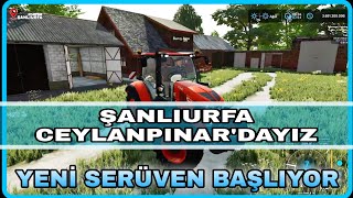 YENÄ° SERÄ° ÅANLIURFA CEYLANPINARDA Ã‡Ä°FTLÄ°K HAZIRLIÄI FARMÄ°NG SÄ°MÃœLATÃ–R 22 [upl. by Higinbotham429]