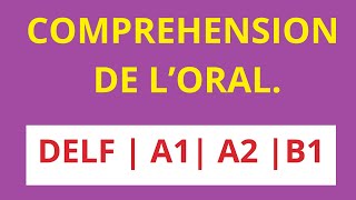 DELF A1 A2 B1 COMPREHENSION DE LORAL [upl. by Eiddam425]