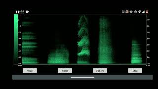 espectrograma [upl. by Jair]