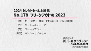 【セレクトセール2024】No178 フリークアウトの2023 父サートゥルナーリア [upl. by Cristie]