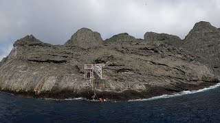 MALPELO Navegando al corazón del Pacífico Colombiano  El País Cali [upl. by German304]