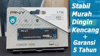 Review SSD NVME PNY CS1031 1TB Recommend Di Harganya [upl. by Oca]