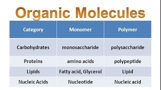 Organic Molecules amp Carbohydrates regular biology updated [upl. by Notsob]