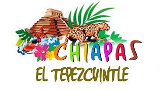 Chiapas  El Tepezcuintle [upl. by Riamu]