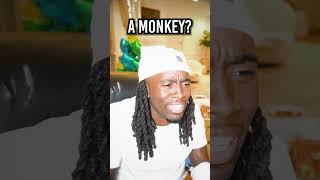 Fan Calls Kai Cenat amp Lil Uzi Vert And Calls Him A Monkey…😭💀 [upl. by Claudianus793]