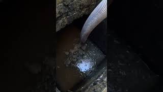 Emptying A Sewage Tank sewage tank septictankpumping vacuumed tanker empty satisfying [upl. by Dnomaid]