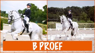 Hoe rij ik een Bproef dressuur  PaardenpraatTV [upl. by Lleraj]