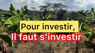 Pour investir il faut s’investir Ebolowa  projet de porciculture [upl. by Curson]