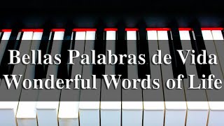 Bellas Palabras de Vida  Wonderful Words of Life  PIANO [upl. by Ingalls]