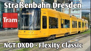 Straßenbahn Dresden  Baureihe NGT DXDD  DVB 2023 [upl. by Henig]