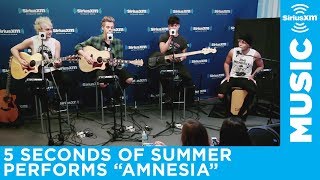 5 Seconds of Summer  quotAmnesiaquot Live  SiriusXM [upl. by Erimahs]