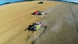 Harvest 2014  big farming in Germany 4x Lexion 780 10 JD tractors 3 Horsch seeders [upl. by Anemolif626]