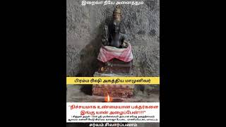 அகத்தியர் பிரம்மரிஷி வாக்கு tamil agathiyar agathiyan அகத்தியர் அகத்தியன் [upl. by Nottap]