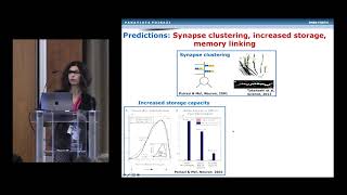 Yiota Poirazi  Active dendrites and their role in neuronal and circuit computations Cosyne 2019 [upl. by Aleakim]