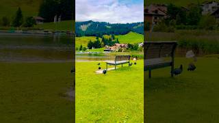 Swiss 🇨🇭Schwarzsee travel mountains swissalps swissbeauty switzerland shorts scenicviews [upl. by Aynat]