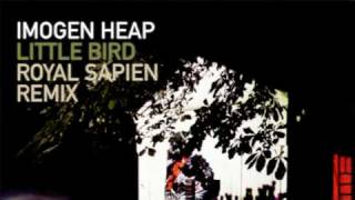 Imogen Heap  Little Bird Royal Sapien Remix [upl. by Rhetta985]