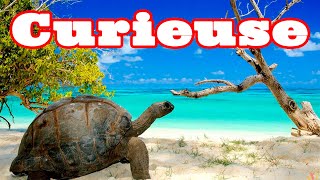 Остров черепах  Курьез Сейшелы Turtle Island  Curieuse Seychelles [upl. by Marisa]