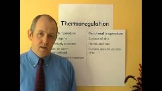 Thermoregulation 5 Body temperature [upl. by Ahsikram]