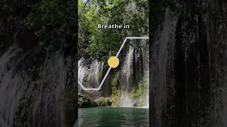 Parasympathetic Breathing Exercise 4462 breathingforanxiety breathe breathingexercise [upl. by Froma]